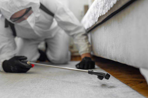 Professional Bed Bug Control technician working in Caldwell, OH
