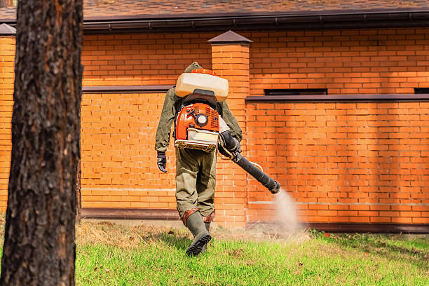 Top rated local Bed Bug Control specialists in Caldwell, OH
